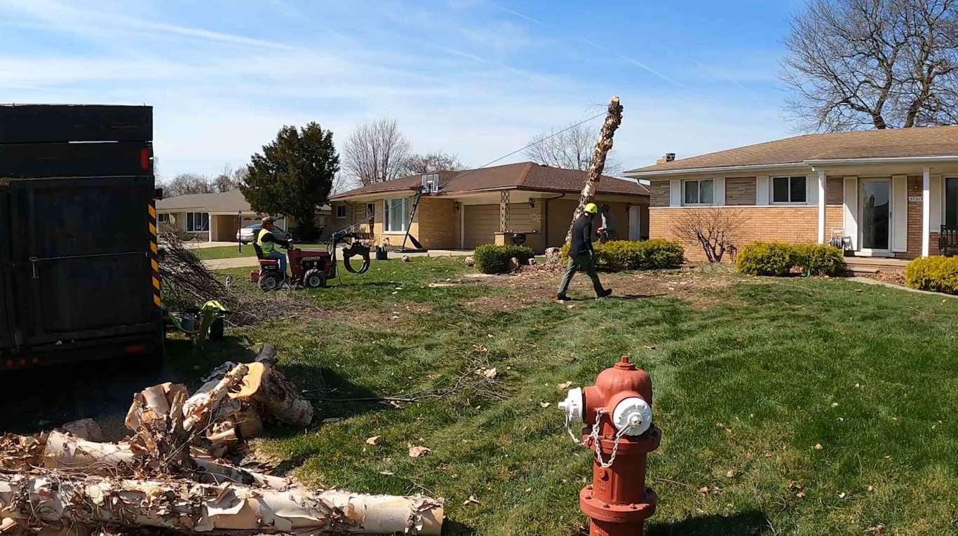 Professional tree removal crew working in residential neighborhood
