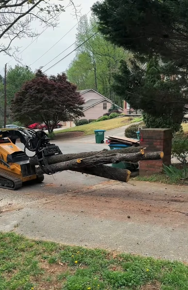 Professional tree removal equipment demonstrating safe practices
